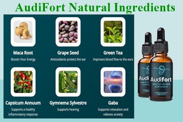 AudiFort Ingredients